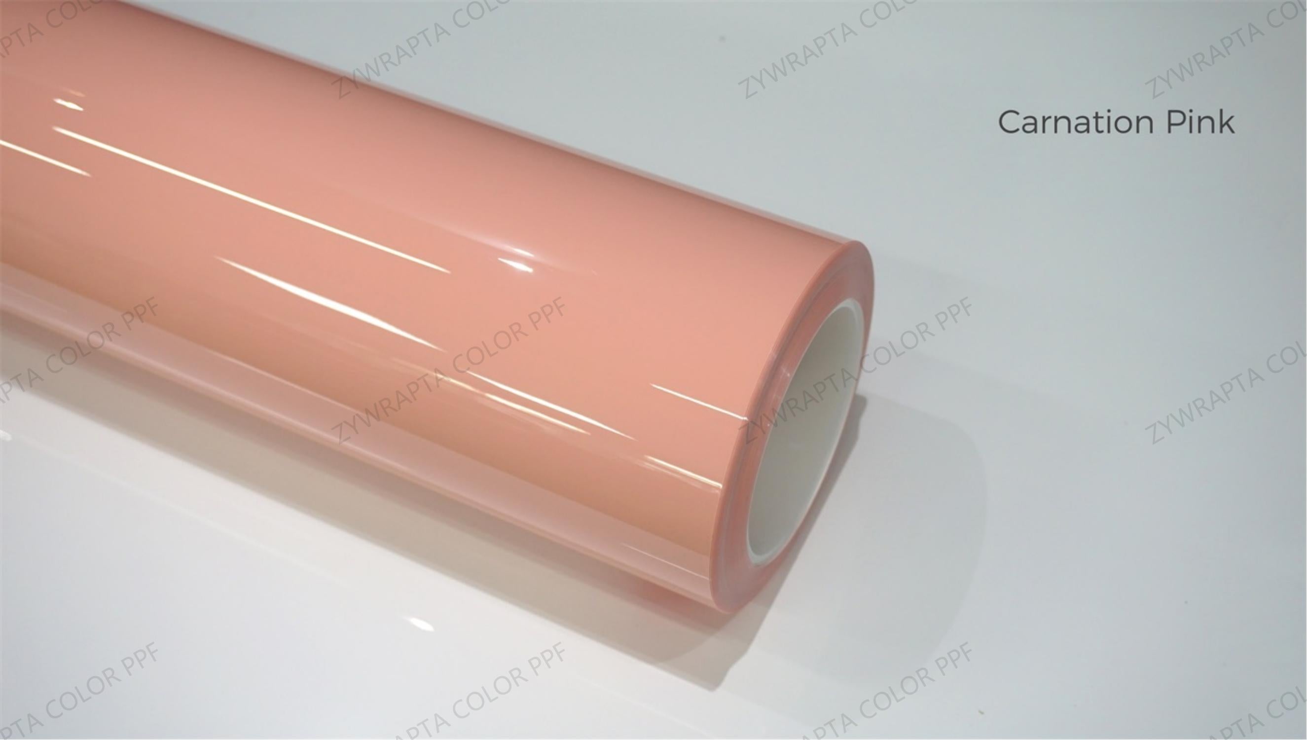 Carnation Pink