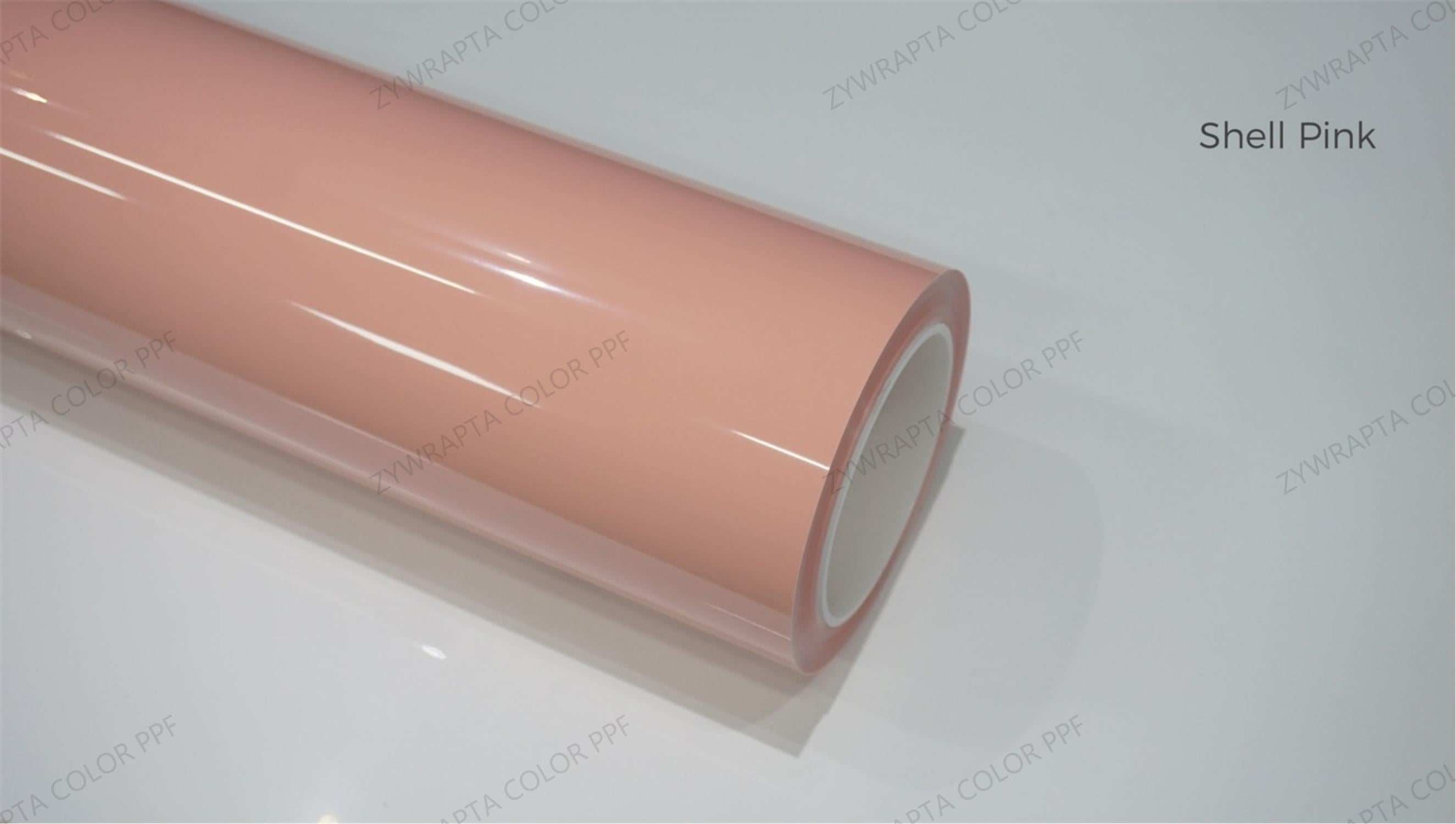 Shell Pink